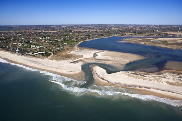 Cono Natale, Hamptons