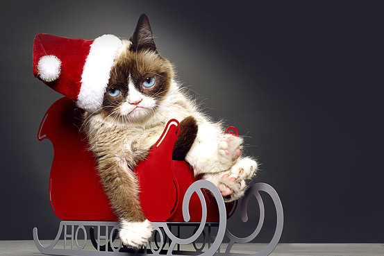 BN-FU096_1129gr_G_20141129092734