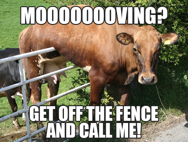 mooooooving