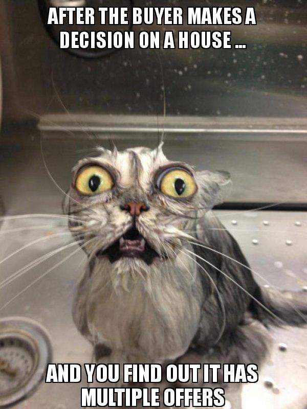 83d3fcf05b4d9a39eb5ecfcb6691299f