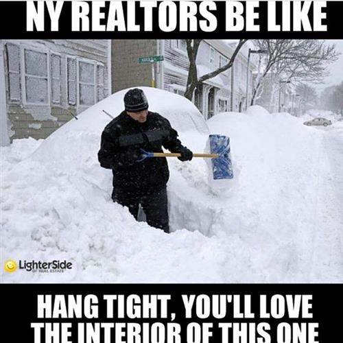 f1772422-3b07-4c7c-bdf8-901fe4eba390_500